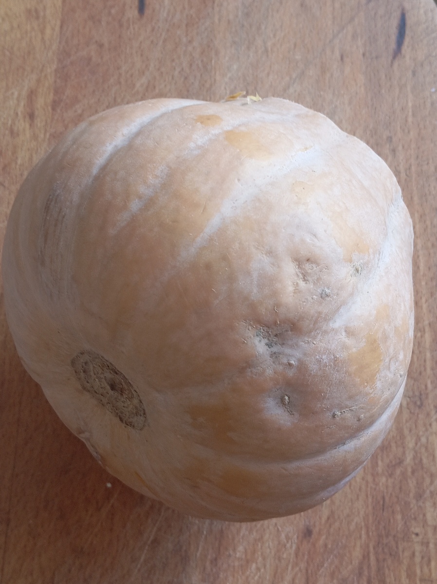 Она давно ждёт своего часа.