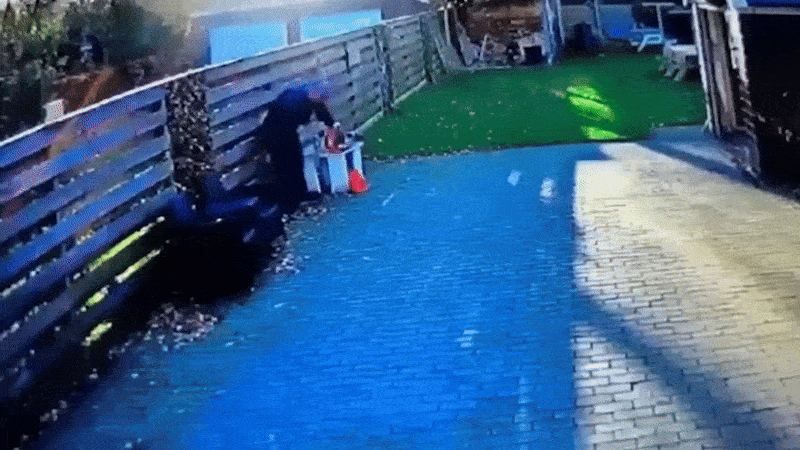 Нравится Формат? Поддержи Канал Лайком и напиши какой эпизод понравился больше всех
