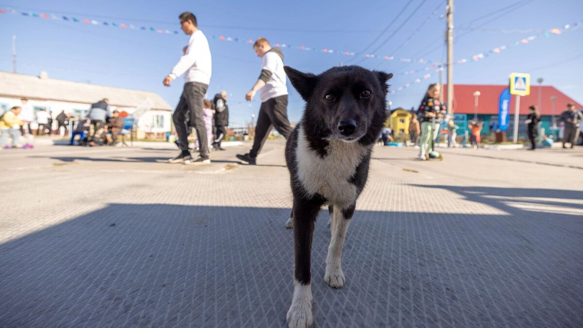    Фото: Сергей Зубков/«Ямал-Медиа»