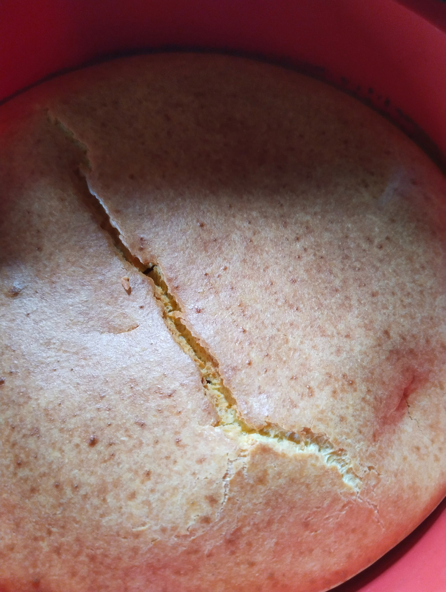 Готовый бисквит