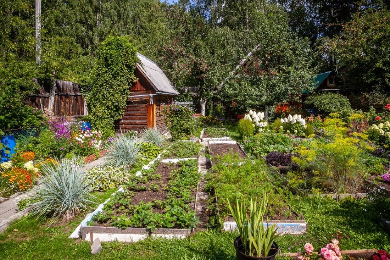 Фото из архива Союза садоводов Екатеринбурга и Свердловской области