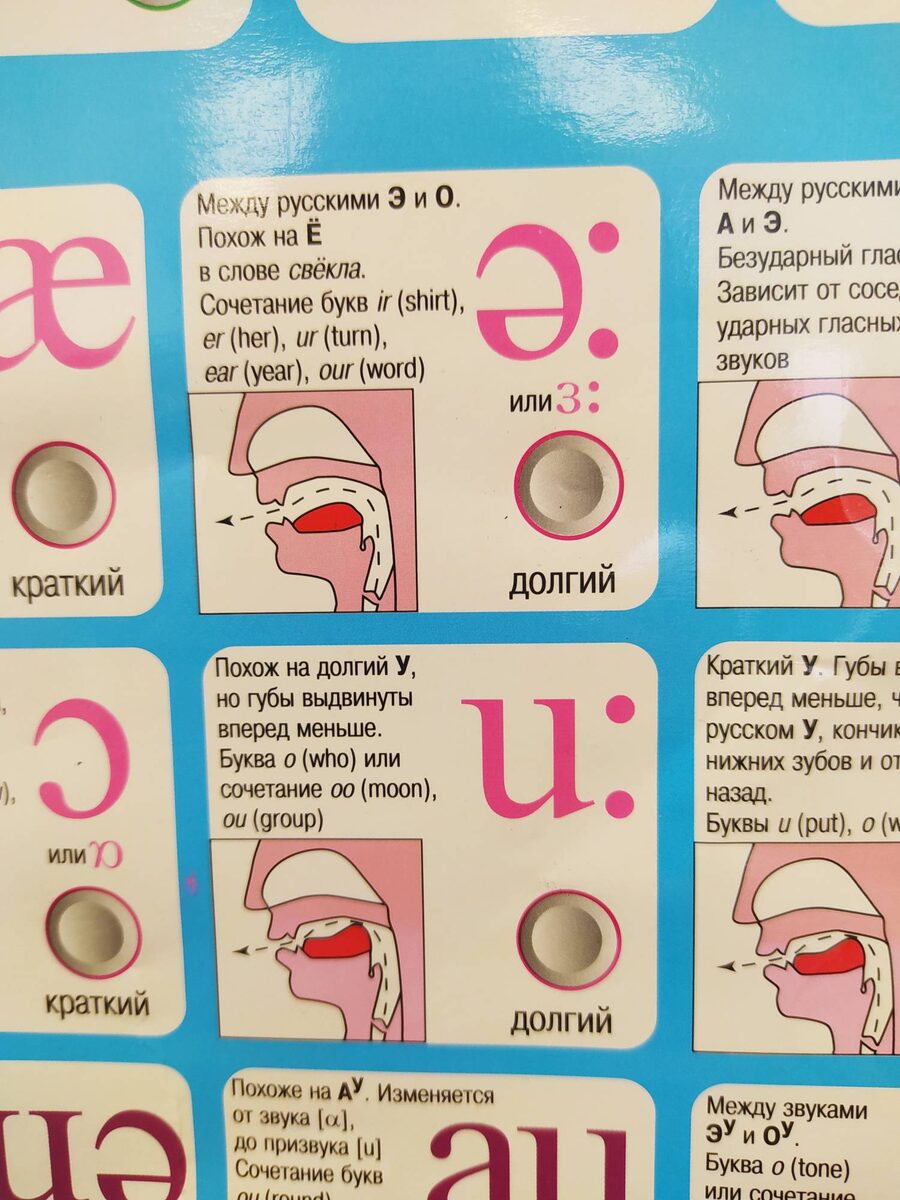 Мне также нравится,  что  транскрипционные  значки даны в нескольких вариантах, например один и тот же звук может в разных учебных  пособиях обозначаться и [ɜː],  [ə:]