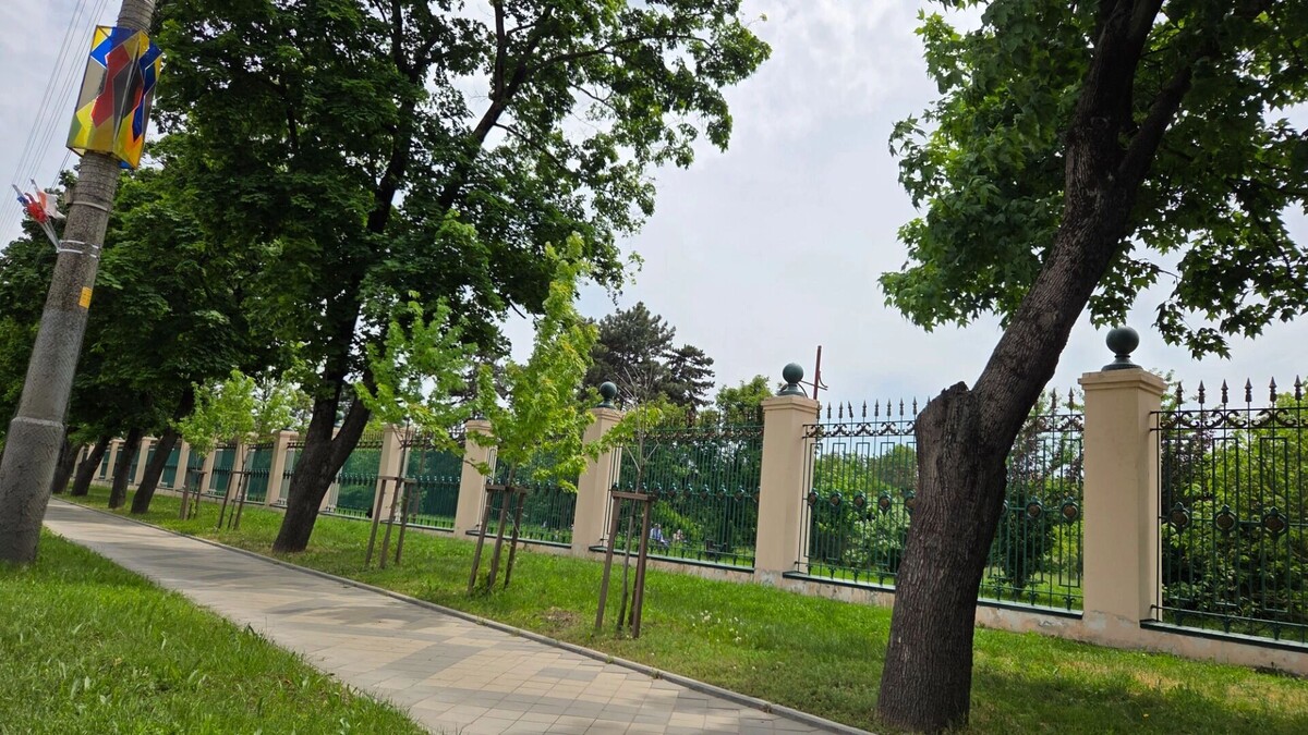     Автор: KubanPress