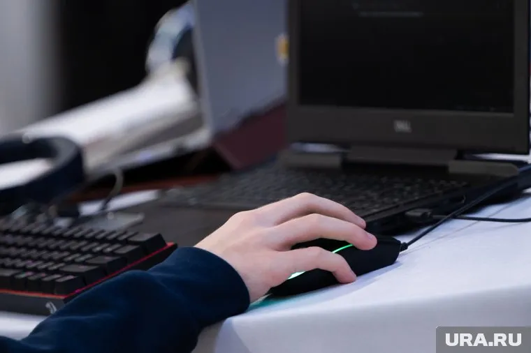 Доход программиста PHP зависит от опыта работы и владения актуальными технологиями
Фото: Руслан Яроцкий © URA.RU