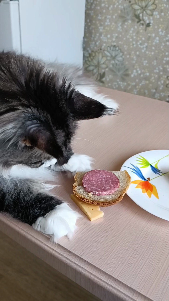 Не правильный какой-то бутерброд 🤔