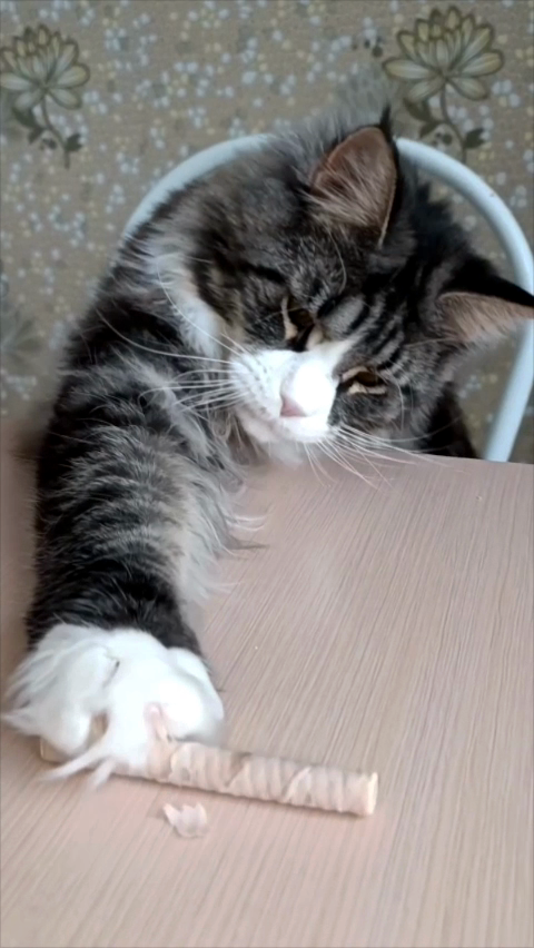 Маленький кусочек, маленький, дай мне