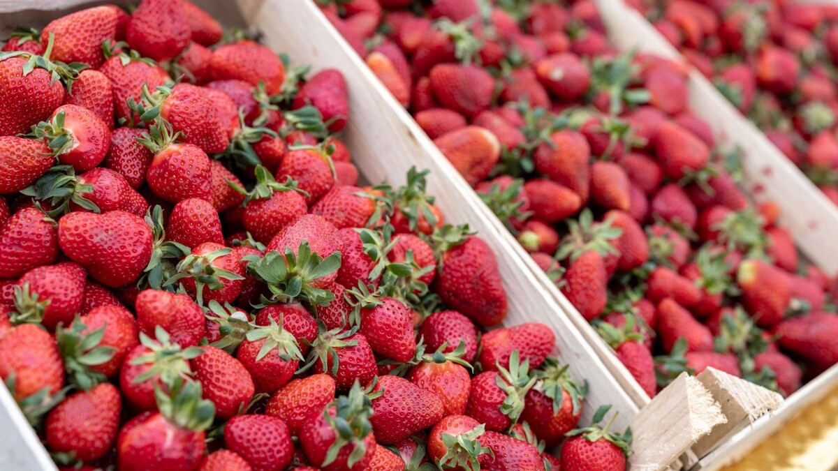    Фото: Сергей Зубков/«Ямал-Медиа»