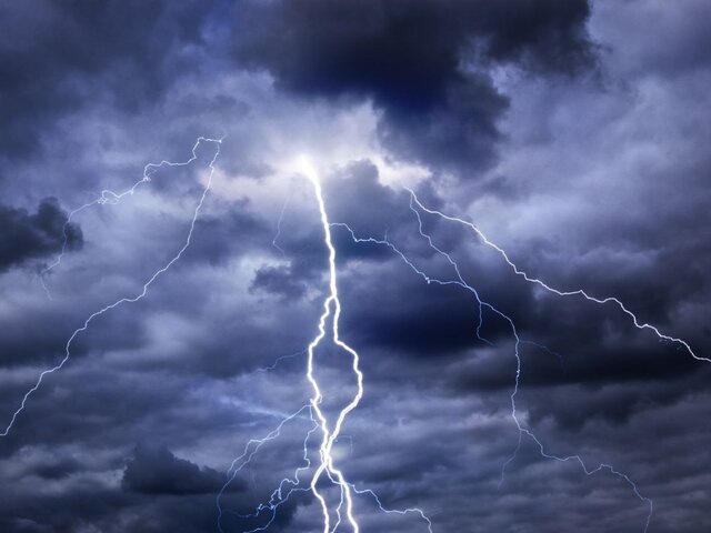    Фото: 123RF/prudkov