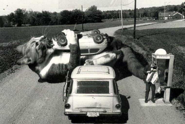 источник Яндекс-картинки