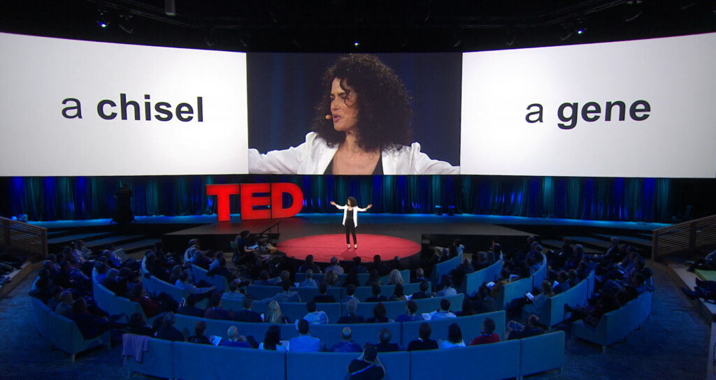 Источник: 24 лекции TED для дизайнеров // Tilda Education URL: https://tilda.education/articles-ted-lectures-about-design (дата обращения: 13.04.2025)