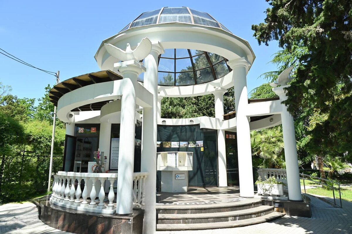    Фото: пресс-служба администрации города Сочи