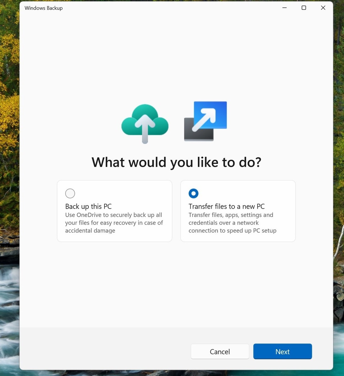    Windows Latest / Microsoft