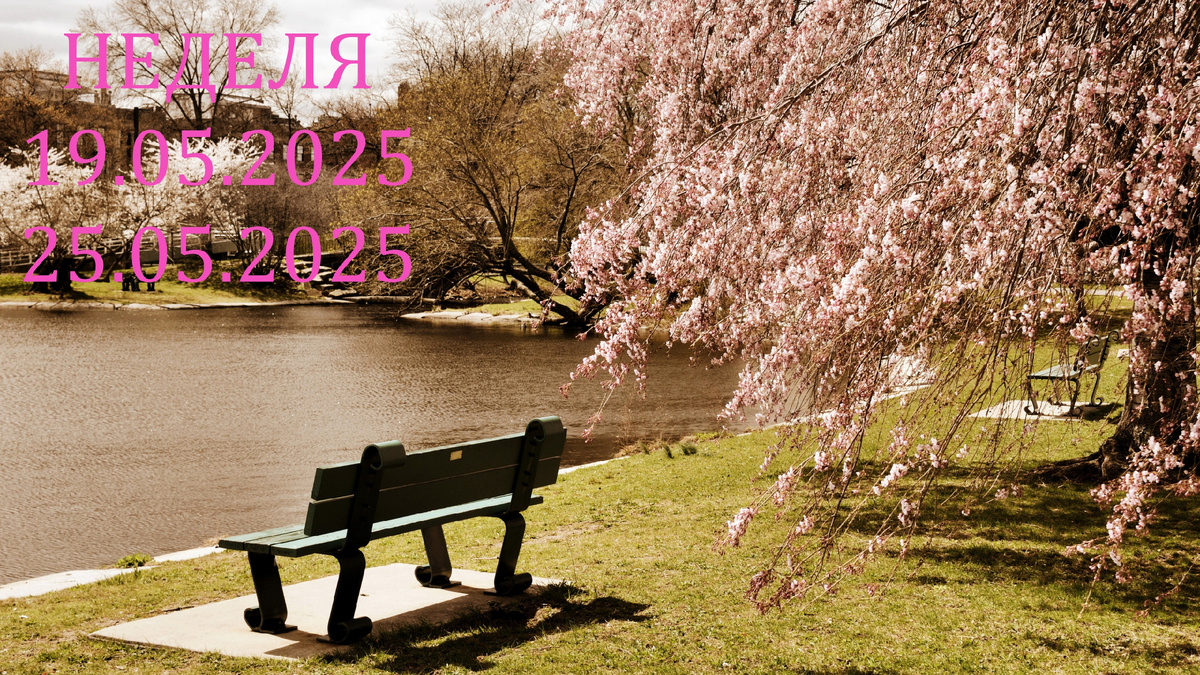 Майский пейзаж. Фото в свободном доступе