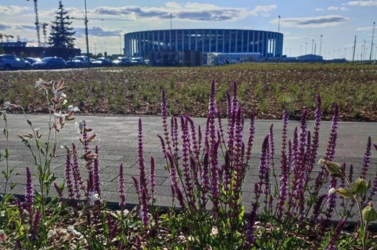    Стадион «Нижний Новгород» планируют переименовать