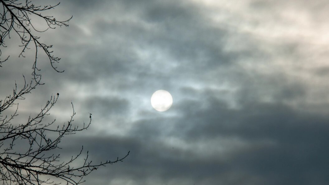    Фото: Svetlana Vozmilova/Global Look Press