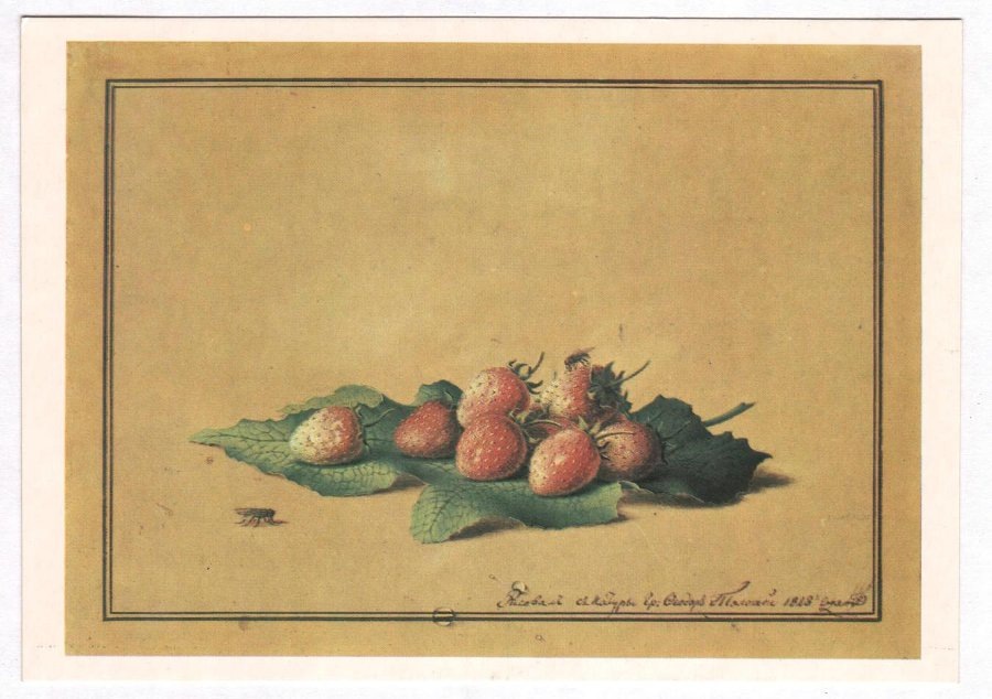 Федор Петрович Толстой, «Клубника», 1828 год. Из собрания Государственной Третьяковской галереи