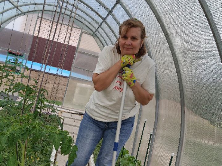 Как стимулировать огурцы к обильному урожаю