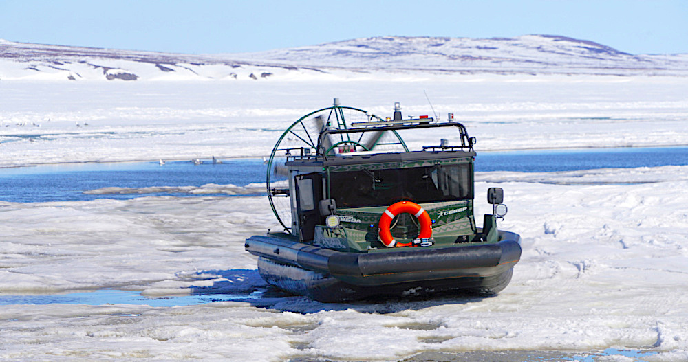 Фото: Павел Кошеленко, ИА «Чукотка» / prochukotku.ru