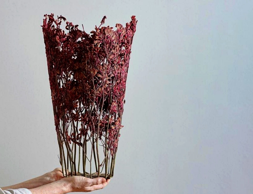 Работы Шеннон Клегг