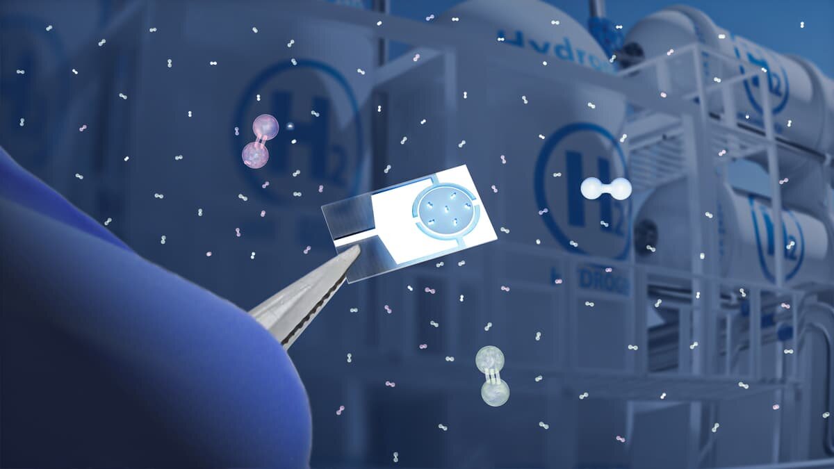 Фото: KAUST  📷
