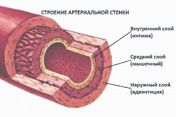Ссылка: immunocap.ru