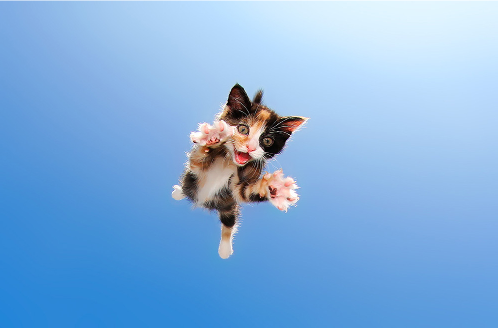 источник фото: https://i.pinimg.com/originals/0b/1c/46/0b1c46e38b9abdb1fb866fbb8b32312f.png