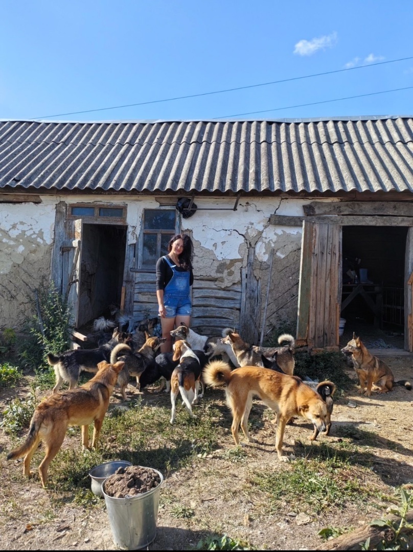 Фото: Галина Павлова 