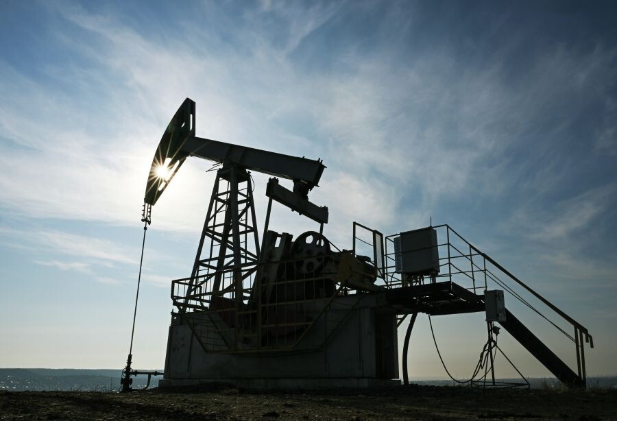     / Источник: © Максим Богодвид/РИА Новости