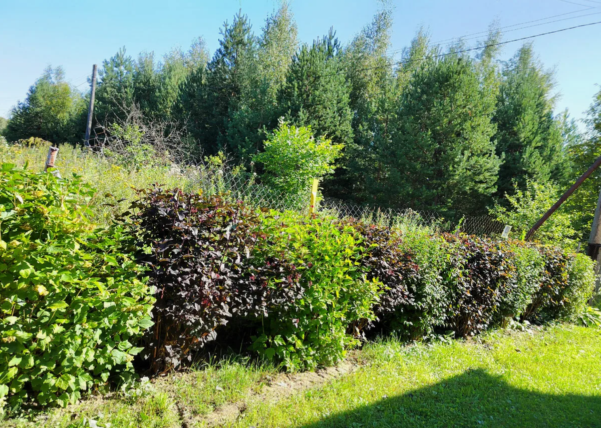 Источник фото: dzen.ru