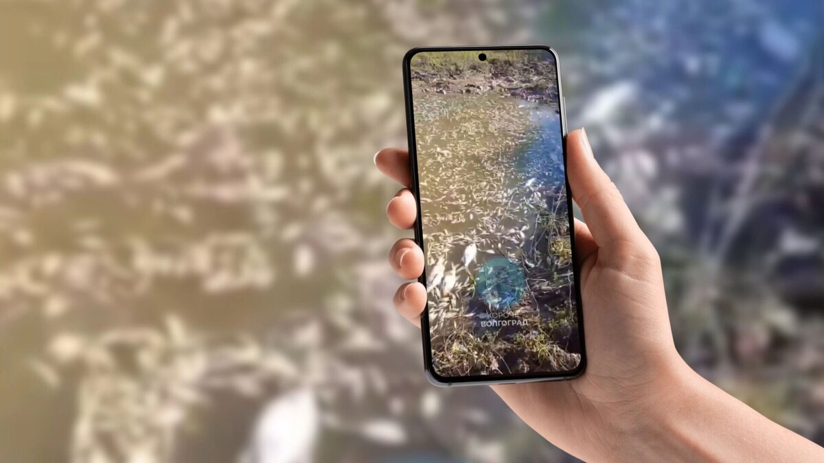     Источник: тг «Короче, Волгоград»