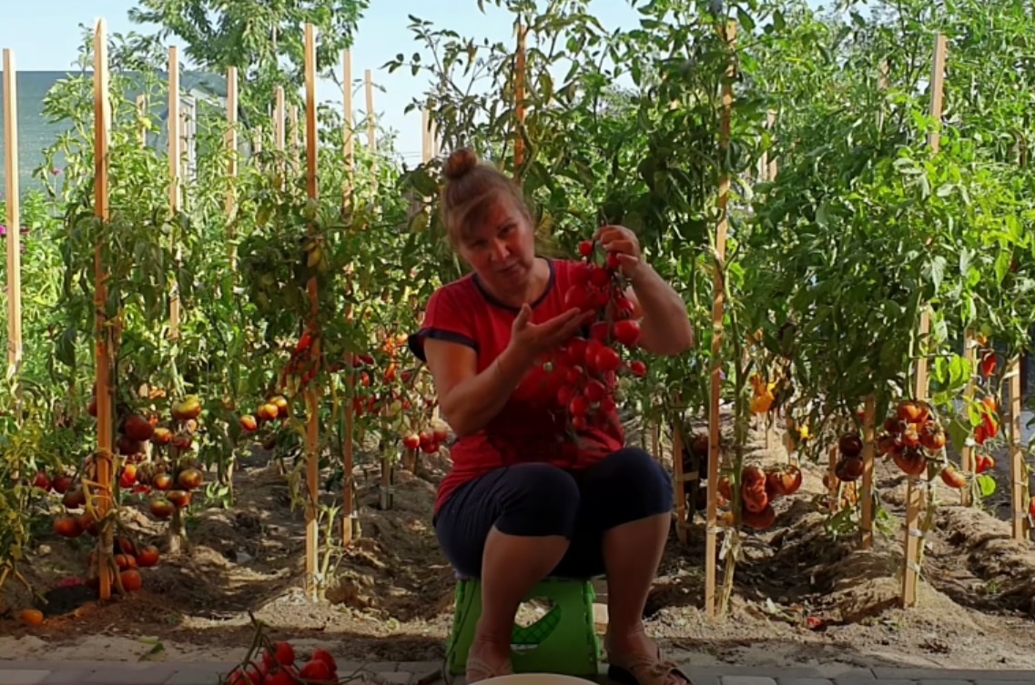 Фото из личного архива