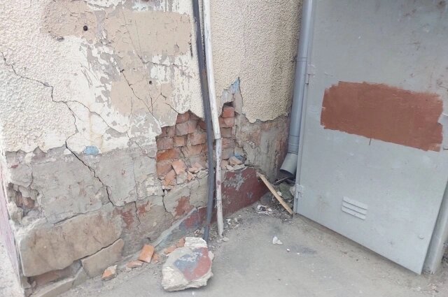    Фото: АиФ в Туле/ Антонина Афанасьева