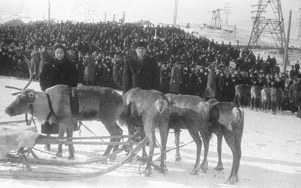 Первые участники Полярной олимпиады