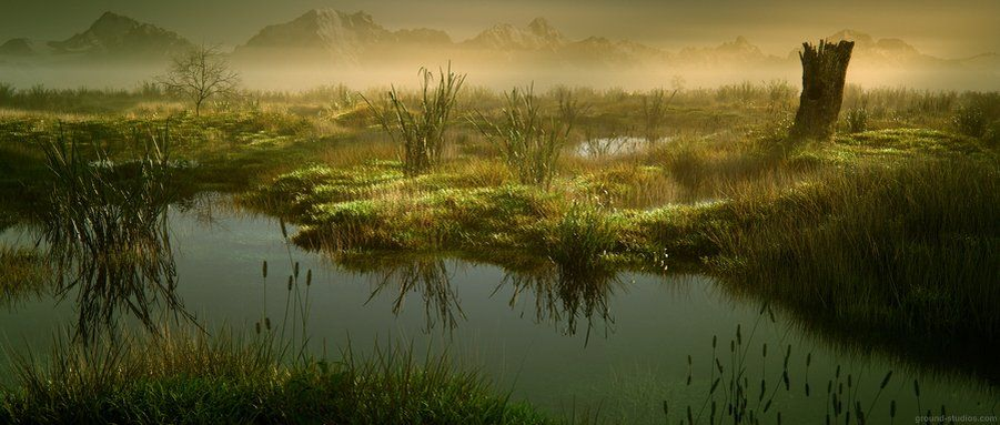 картинка из сети 