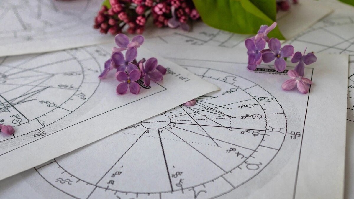    Фото: Bada1 / shutterstock.com / Fotodom