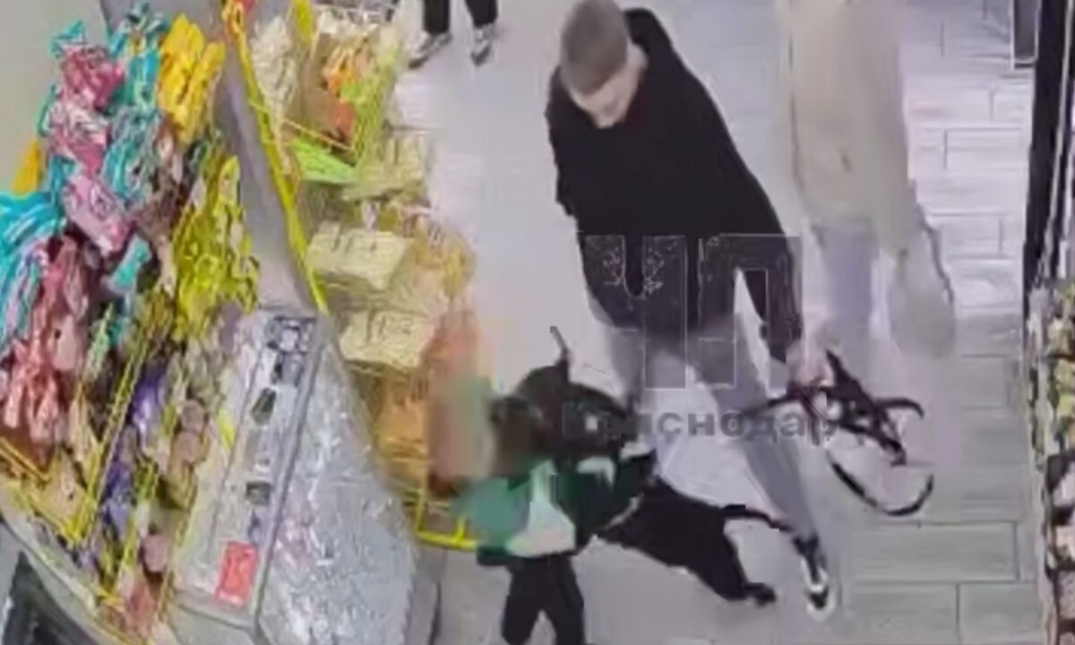    Фото t.me/chp_krd