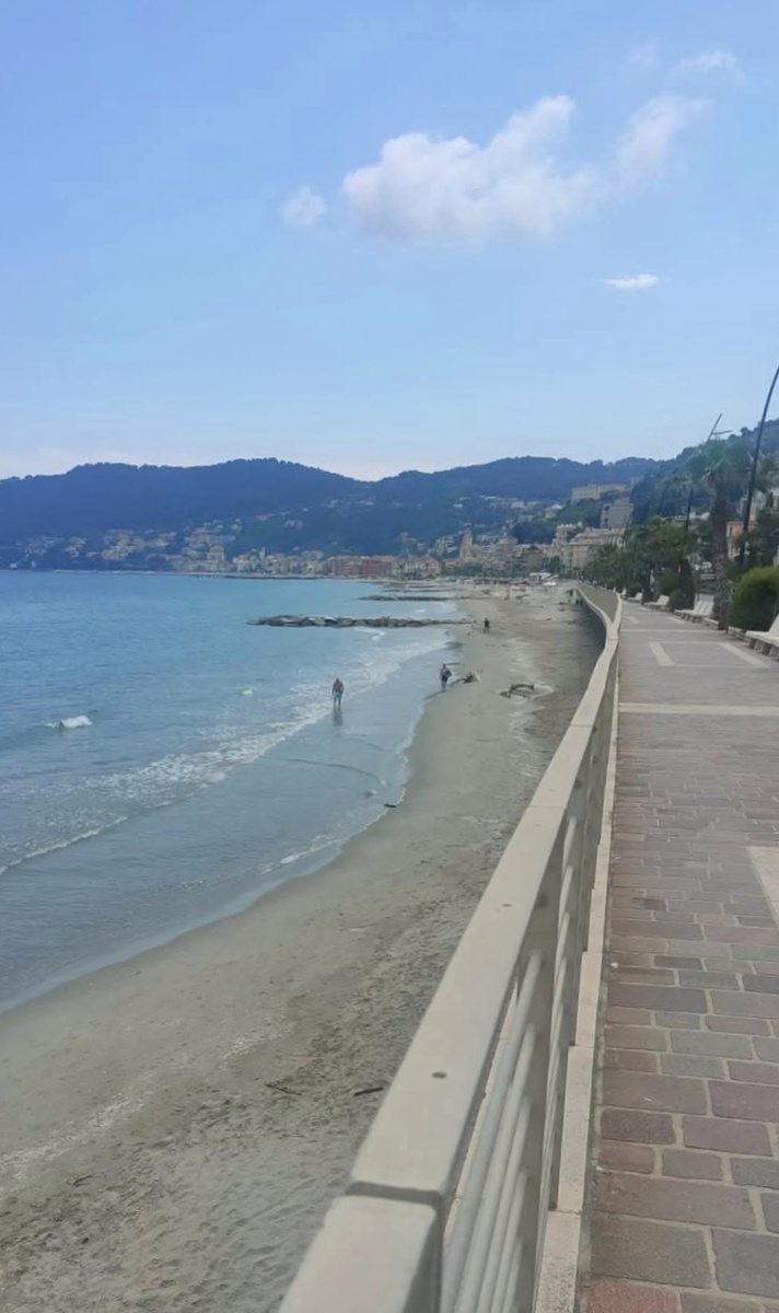 Идем по любимому променаду. Странно,  что не видно колеи, которую протоптала за годы хождений)