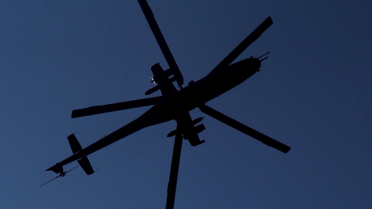     / Источник: © Carlos Garcia Granthon/ZUMAPRESS.com/Global Look Press