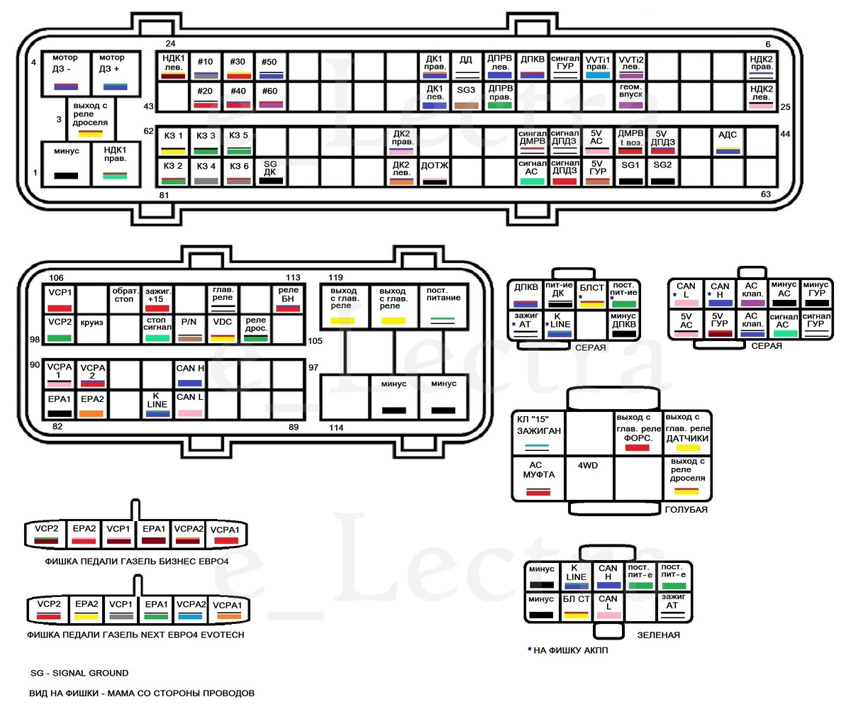 Распиновка VQ25 VQ35 с Эльгранда E51
