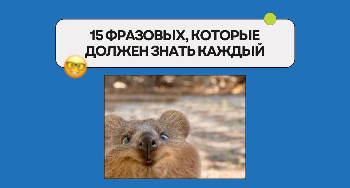 Изображение: Family English