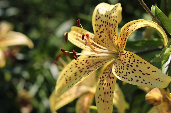 Фото Галины Щербаковой.