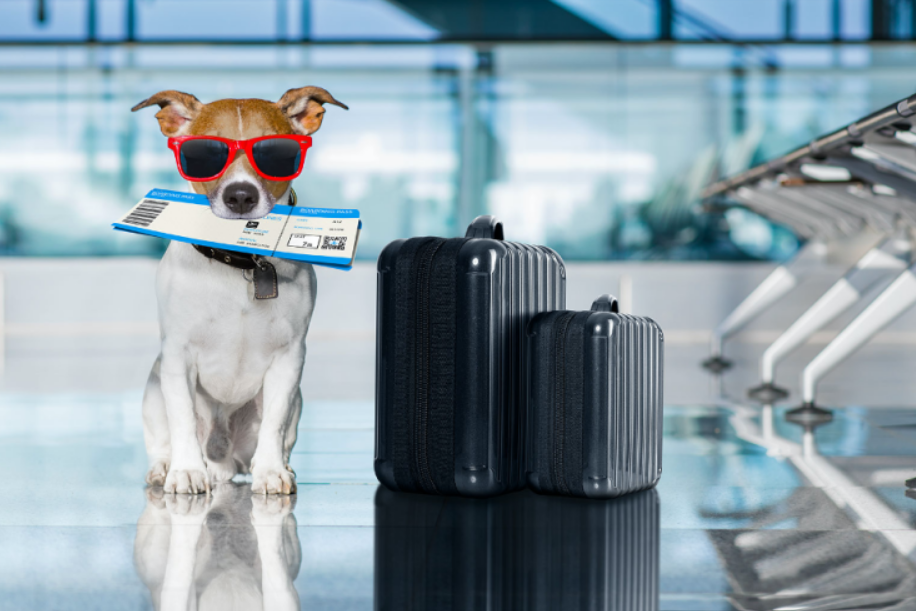 Фотография из открытых источников