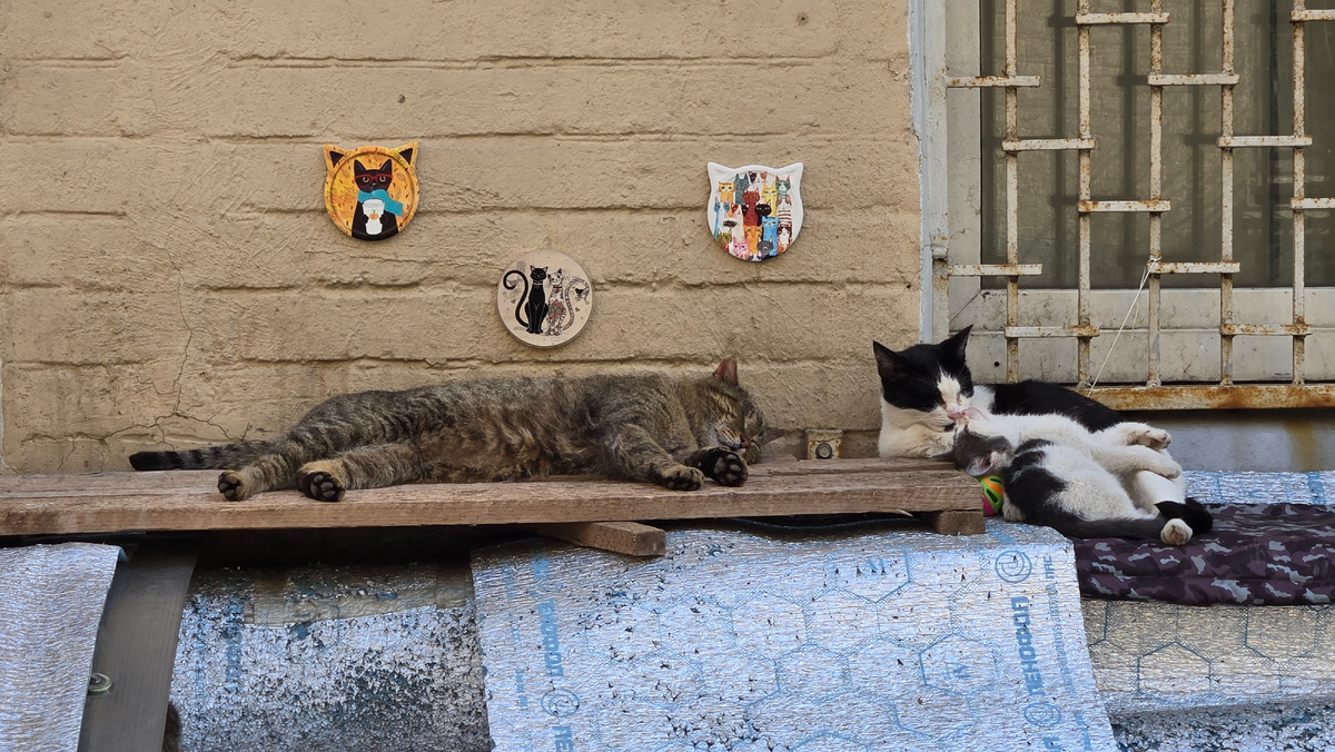 У дома, где находится Московский театр-студия народного артиста Всеволода Шиловского