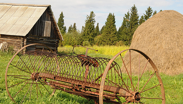    © Архив ИД «Компаньон»