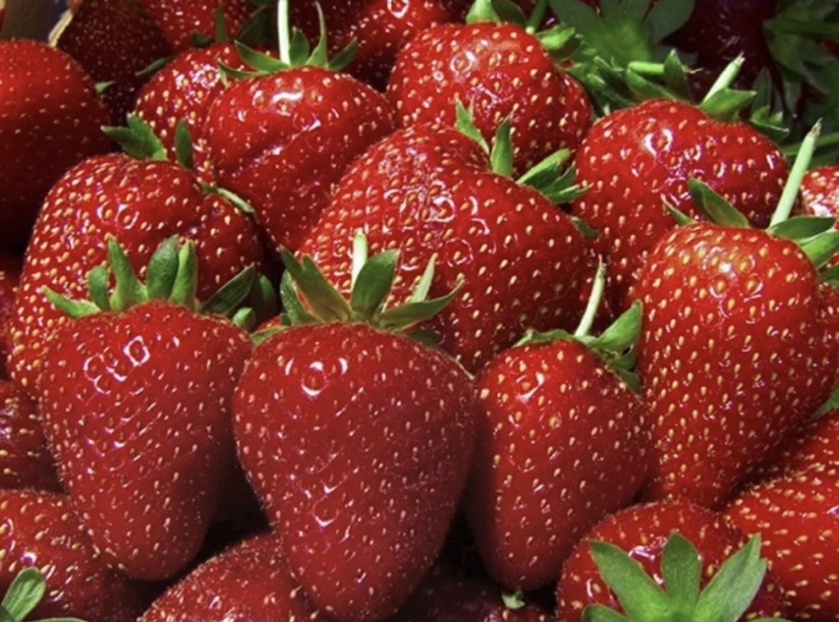 Фото из интернета.