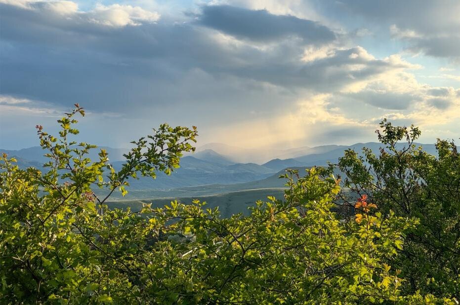    Сергей Петров/NEWS.ru