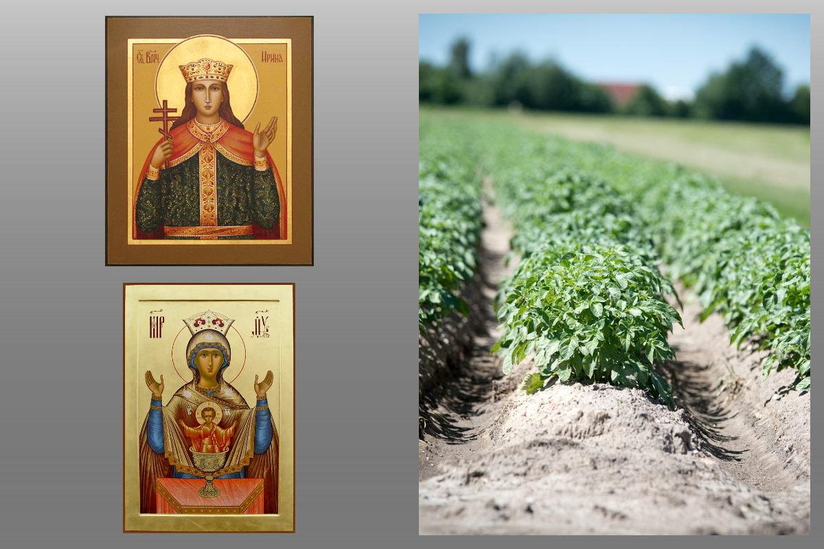 Икона Великомуч. Ирины Македонской, Икона Богородицы Неупиваемая Чаша/azbuka.ru, рассада/pixabay.com