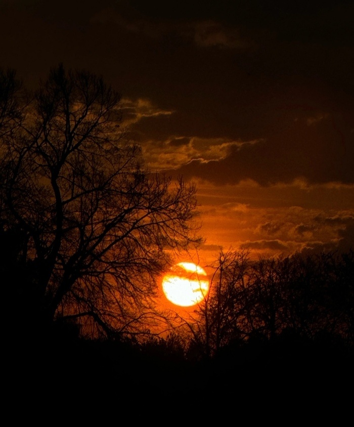 Фото из интернета 