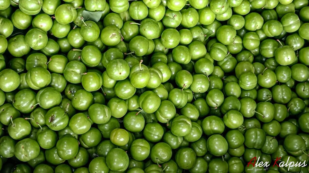 Ткемали - алыча. Нужной кондиции и зрелости. Грузия. Рецепт приготовления ткемали.