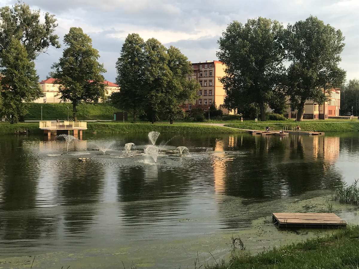 Замковый пруд. Фото автора